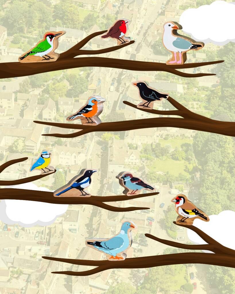 Find the feathered friends who are hiding in Corsham's shop windows